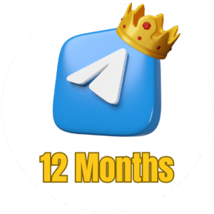 12 Months Telegram Premium Buy BD by bKash In Bangladesh