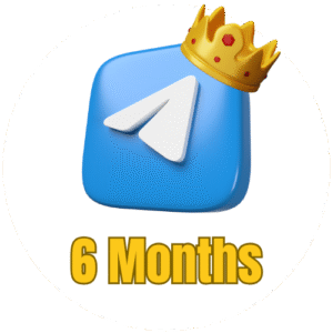 6 Months Telegram Premium Buy BD by bKash In Bangladesh